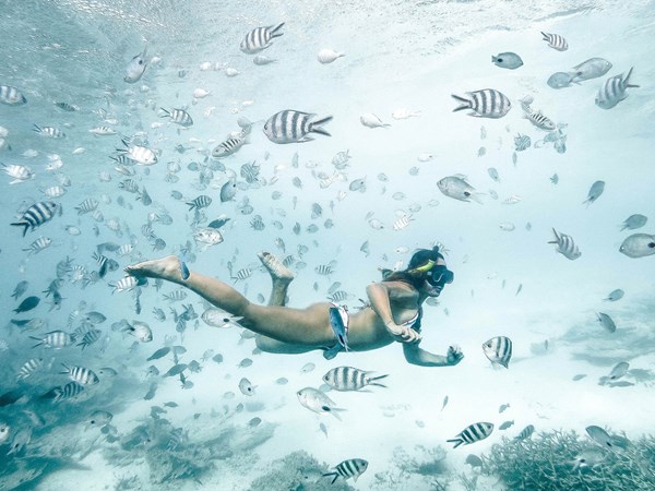Snorkeling dans le parc marin de Blue Bay