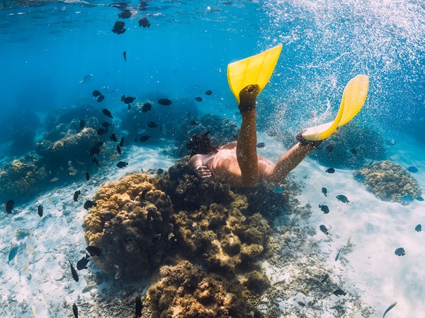 Snorkeling à Flic-en-Flac