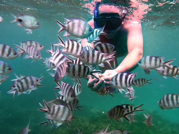 Snorkeling à Mahébourg