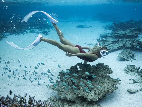 Snorkeling à Trou d'eau Douce
