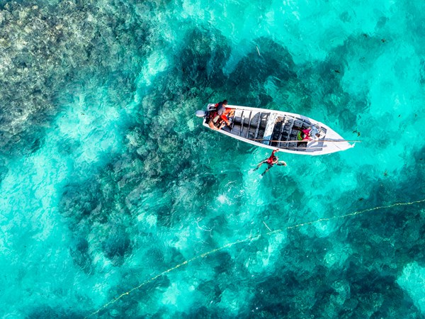 Explorez les fonds turquoise