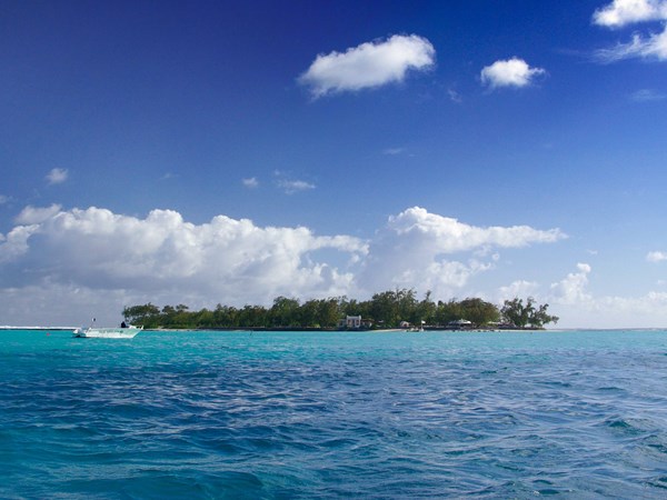L'île des deux Cocos