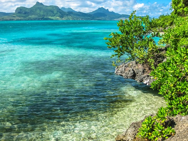 L'île aux Aigrettes