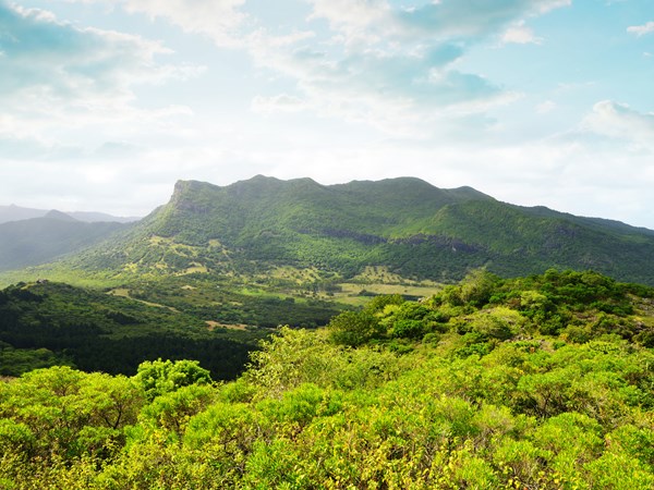 La vue sur les montagnes voisines depuis le Morne Brabant