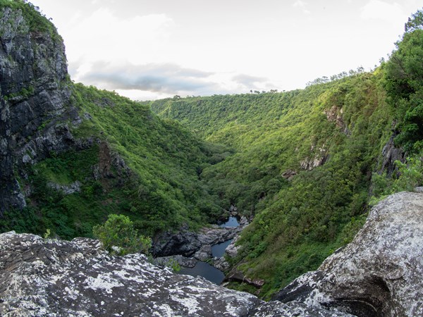 Plongée au cœur de la nature