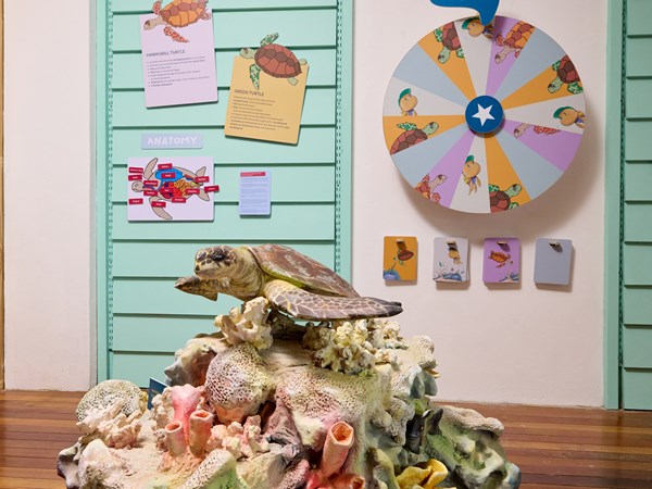 Le Little Marine Discovery Center