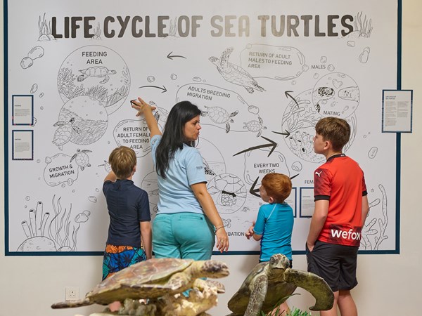 Le Little Marine Discovery Center