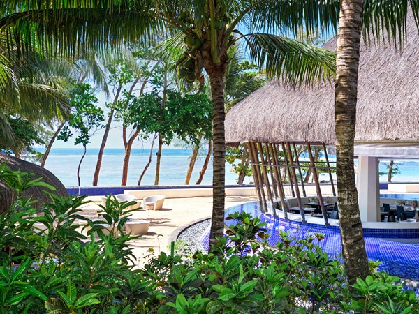So Mauritius s'ouvre sur la végétation