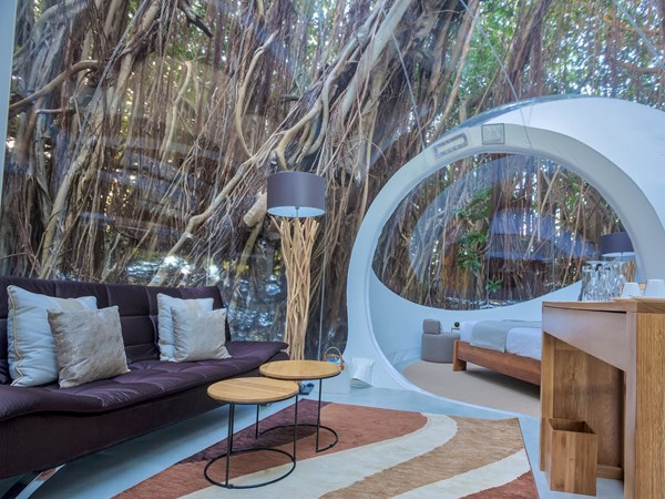 Le Bubble lodge une expérience immersive unique