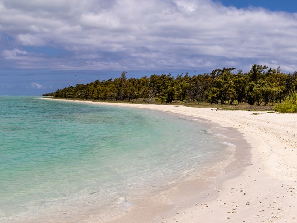 Le décor unique de l'îlot aux Cocos