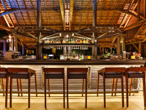 Dolphin Bar