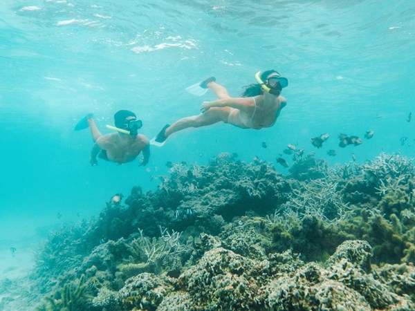 Fonds marins spectaculaires à portée de palmes