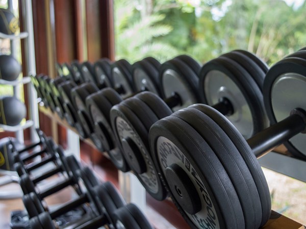Une salle de fitness est à votre disposition