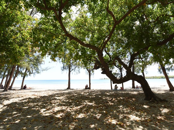 La plage au charme sauvage