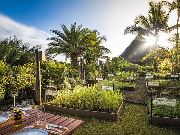 Le restaurant The Herb Trail