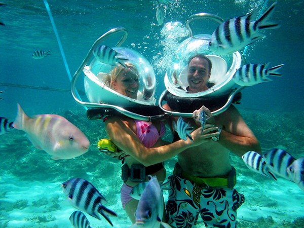 Venez découvrir la plongée sous-marine
