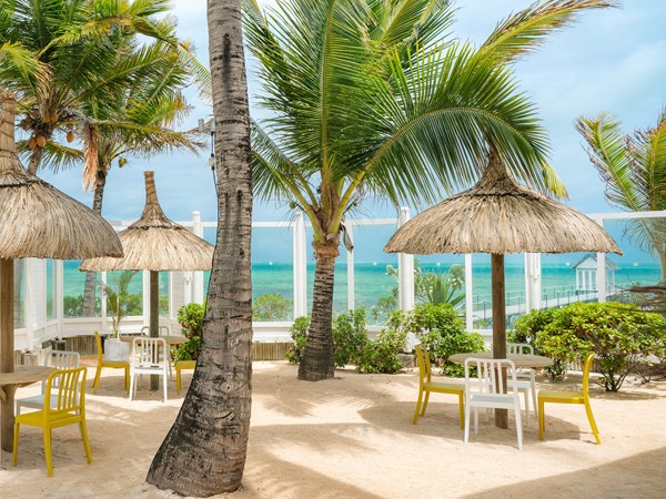 Le cadre du Tropical Attitude