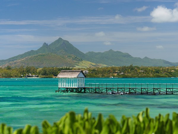 Tropical Attitude