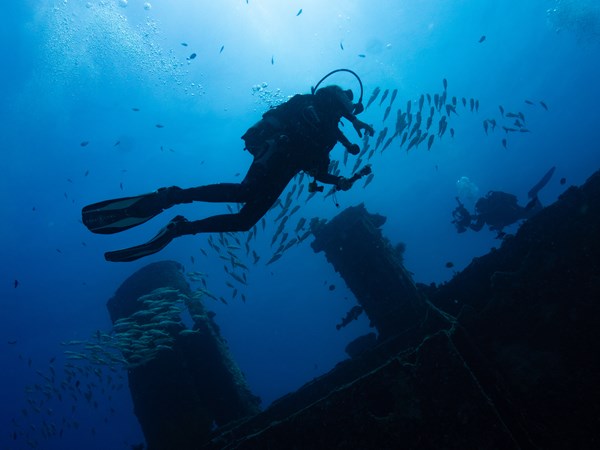 Découvrez la plongée sous-marine