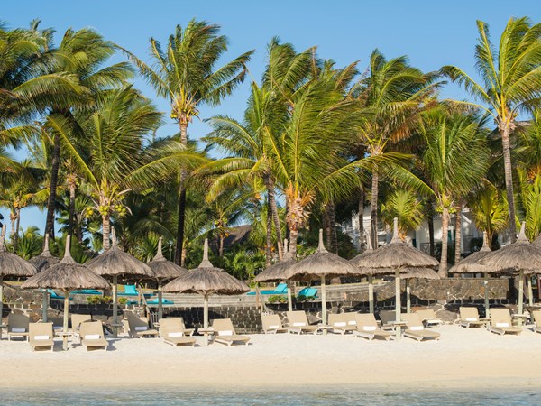 La superbe plage bordée de palmiers