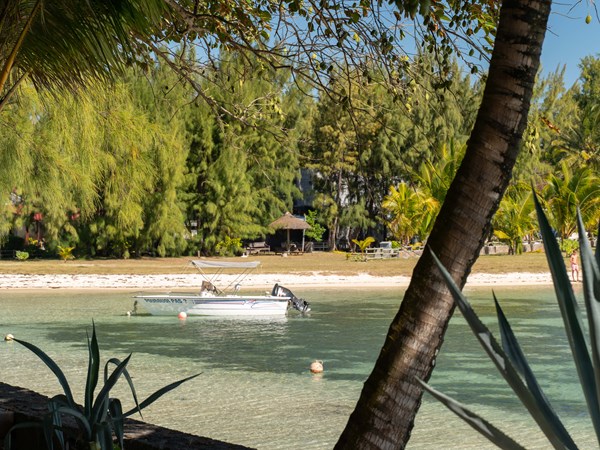 Profitez d'une balade en mer