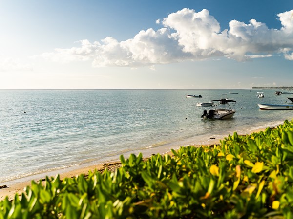 La magnifique plage en face de la villa