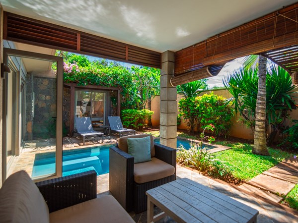 Instants de calme à l'ombre