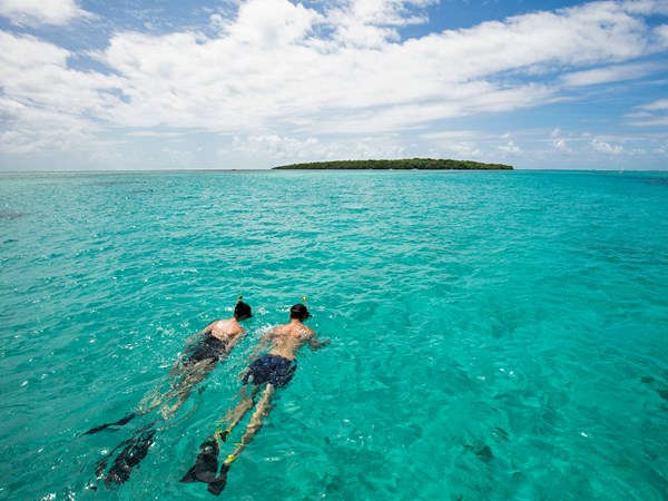 Explorez les exceptionnels fonds marins