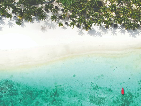 Profitez des plages immaculées