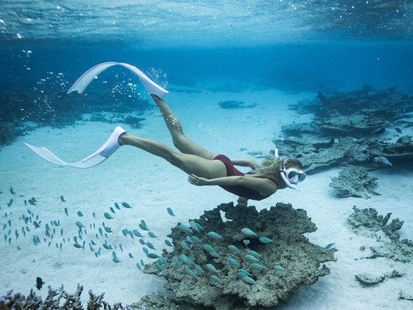 A la découverte des joyaux marins