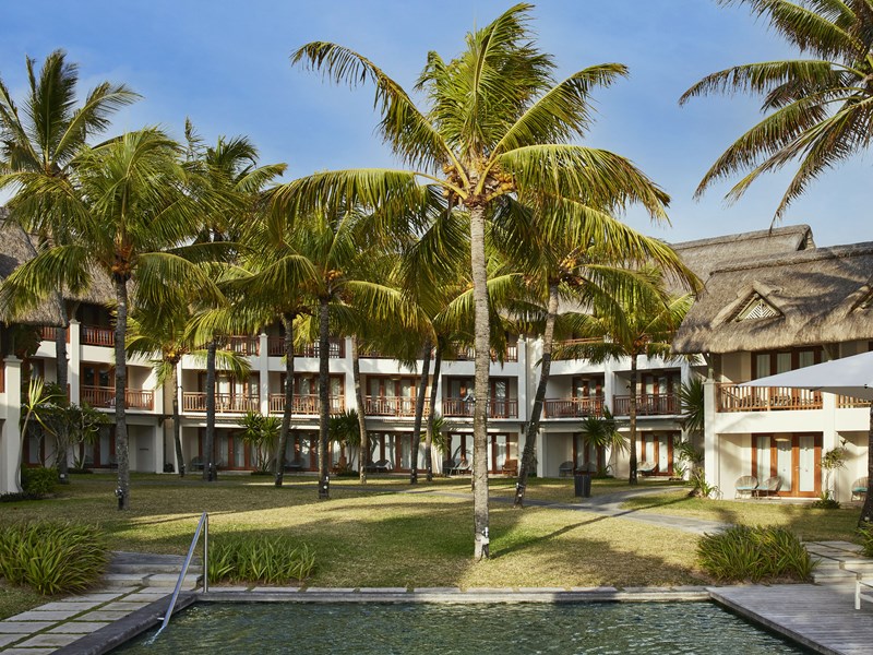 Le jardin verdoyant