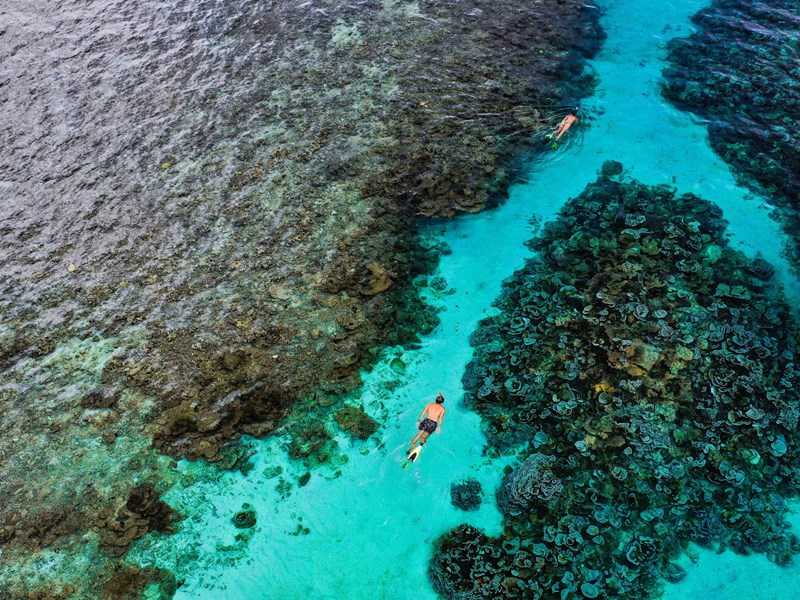 Explorez les faune marine