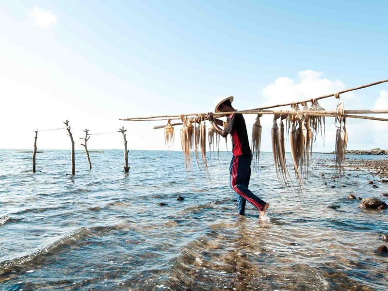 Immersion au coeur de la culture mauricienne