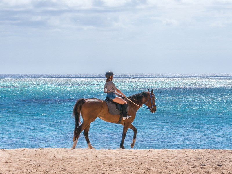 Balade à cheval sur la plage