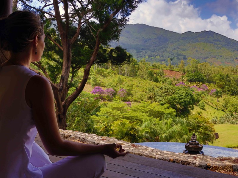 Séance de yoga dans un cadre naturel