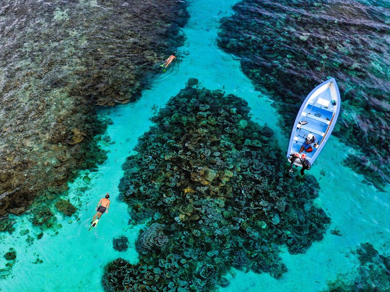 Snorkeling magique dans une eau turquoise