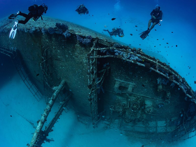 Plongée fascinante à la découverte d’épaves marines