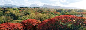 Quand partir à l'île Maurice, la meilleure saison pour voyager