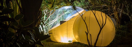 Bubble Lodge Bois Chéri