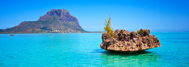 Actualités à l'île Maurice