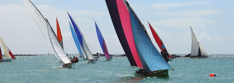 Actualité de l'île Maurice