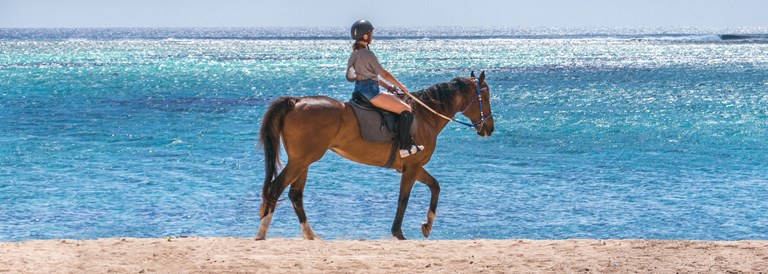 Une balade à cheval dans un joli cadre
