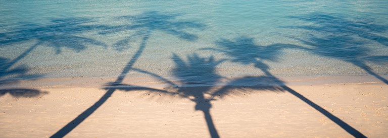 Beachcomber à l'île Maurice