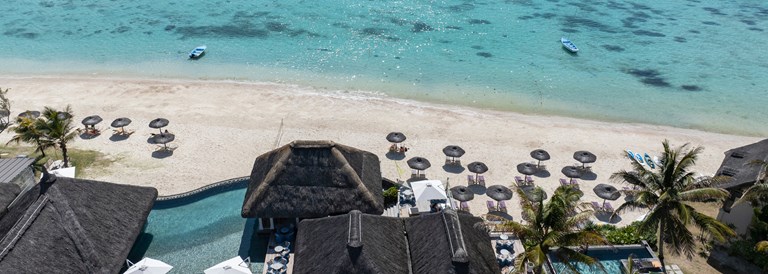C Mauritius Palmar