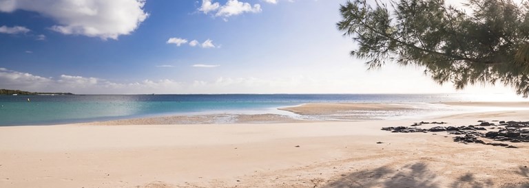 Le climat de la côte Est