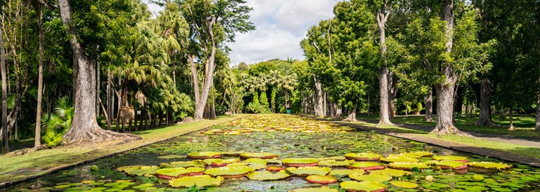 Jardin de Pamplemousses