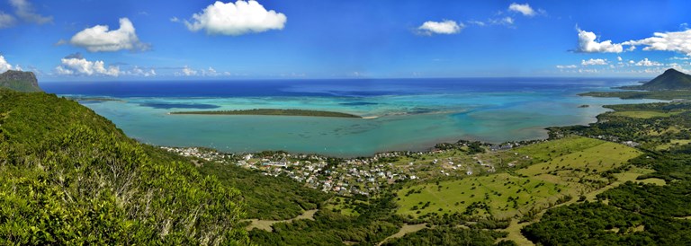 La forêt d'Ebony à l'île Maurice