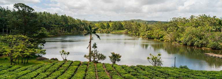 Le Domaine de Bois Chéri
