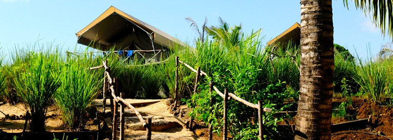 Otentic Eco Tent