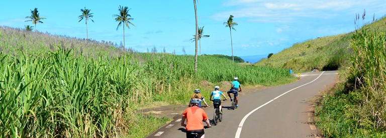 Découvrez Pamplemousses en electrobike
